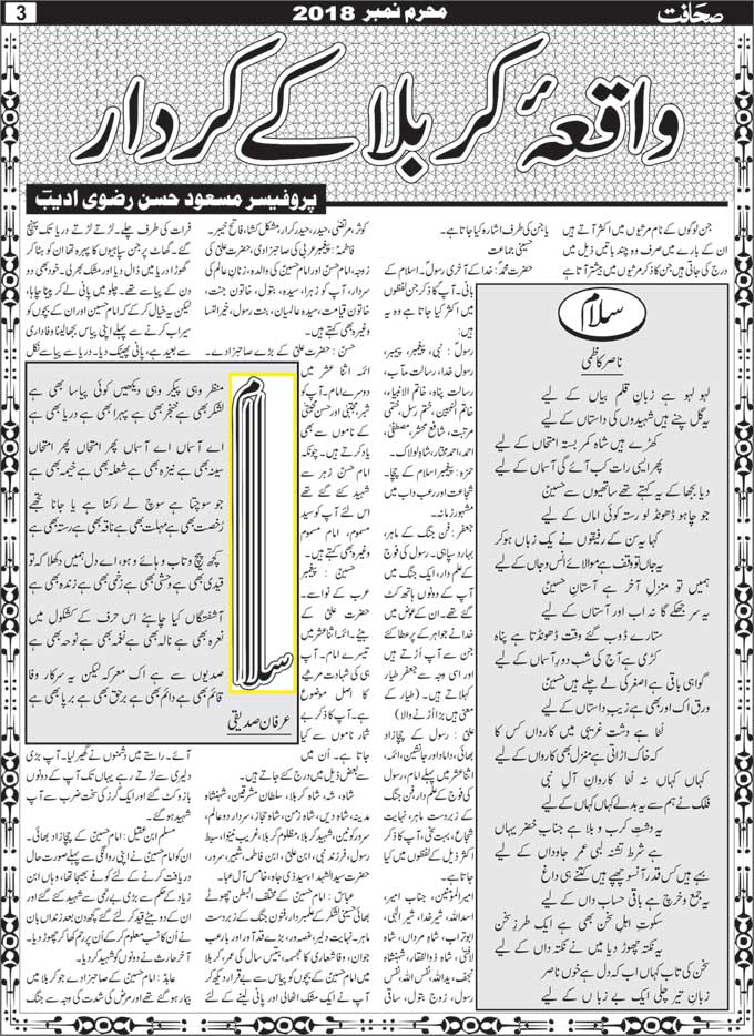 Naseer Kazmi Article