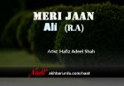 Meri Jaan Ali (RA) | Hafiz Adeel Shah