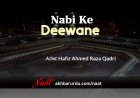 Nabi Ke Deewane | Hafiz Ahmed Raza Qadri