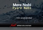 Mere Nabi Pyare Nabi | Junaid Jamshed