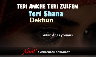 Teri Aankhen Teri Zulfen | Anas Younus