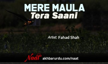 Mere Maula Tera Saani | Fahad Shah