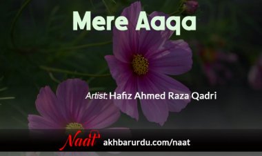 Mere Aaqa | Hafiz Ahmed Raza Qadri