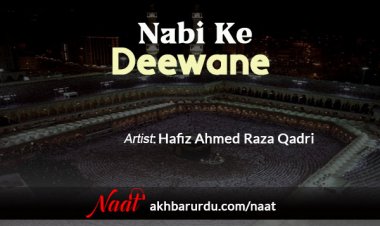 Nabi Ke Deewane | Hafiz Ahmed Raza Qadri