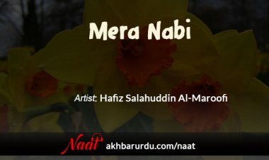 Mera Nabi | Hafiz Salahuddin Al-Maroofi