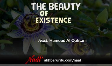 The Beauty of Existence | Hamoud Al Qahtani