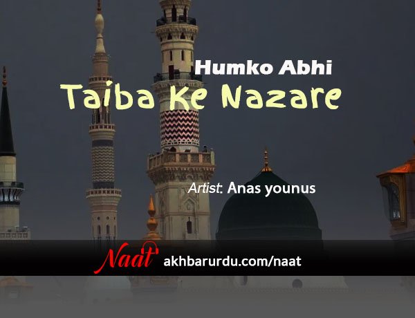 Ham Ko Abhi Taiba Ke Nazare | Anas Younus