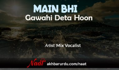 Mai Bhi Gawahi Deta Hoon | Mix Vocalist