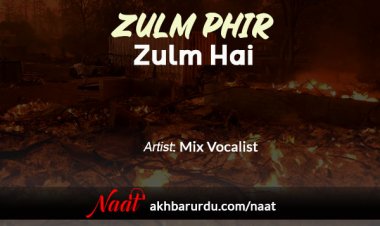 Zulm Phir Zulm Hai | Mix Vocalist