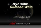 Ae Sabz Gumbad Wale | Owais Raza Qadri