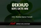 Bekhud Kiye Dete Hain | Shahbaz Qamar Fareedi
