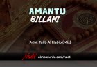 Amantu Billahi | Talib Al Habib (Mix)