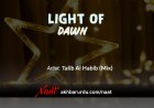 Light of Dawn | Talib Al Habib (Mix)