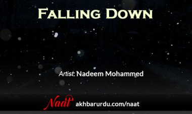 Falling Down | Nadeem Mohammed