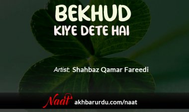 Bekhud Kiye Dete Hain | Shahbaz Qamar Fareedi