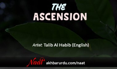 The Ascension | Talib Al Habib (English)