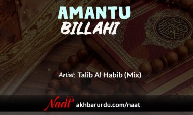 Amantu Billahi | Talib Al Habib (Mix)