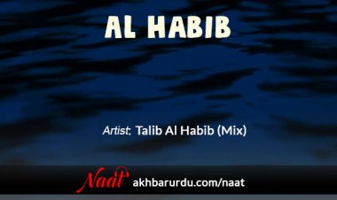Al Habib | Talib Al Habib (Mix)
