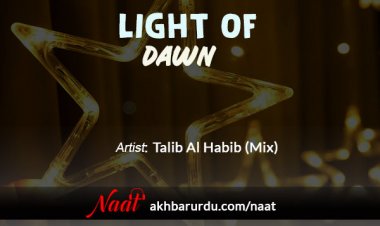 Light of Dawn | Talib Al Habib (Mix)