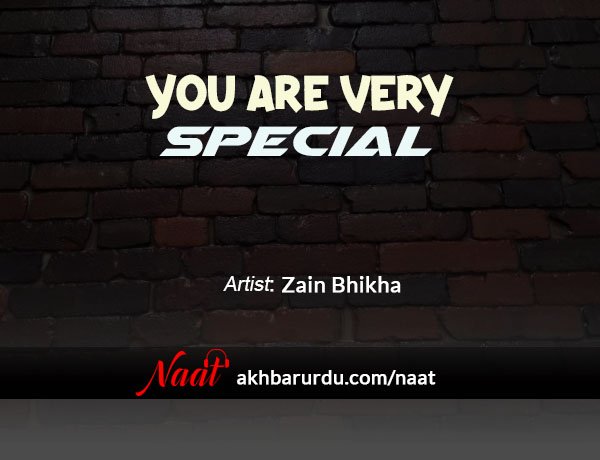 You Are Very Special | Zain Bhikha